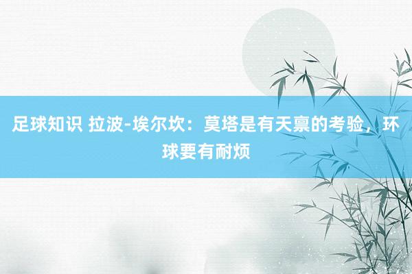 足球知识 拉波-埃尔坎：莫塔是有天禀的考验，环球要有耐烦